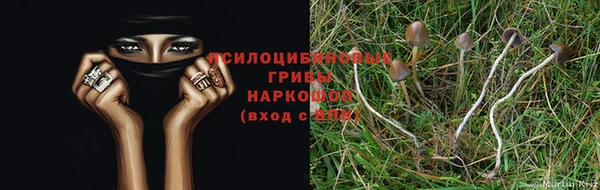 соль ск Алексин