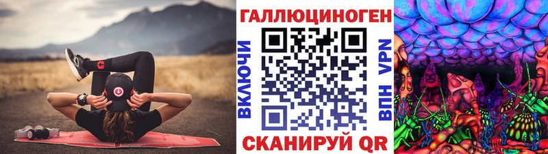 Купить где  Медынь  Галлюциногенные грибы прущие грибы 